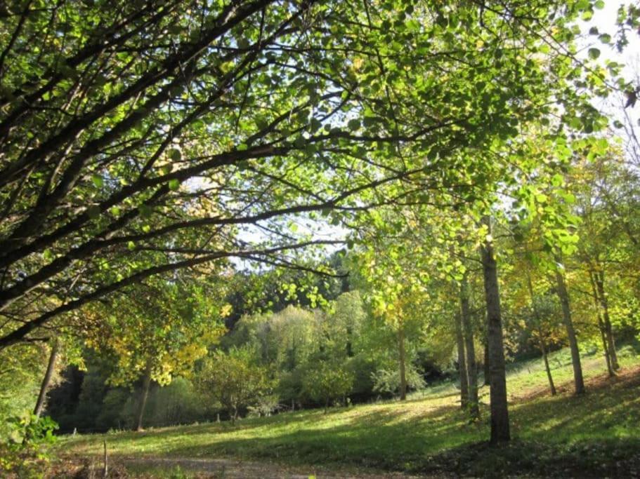Gite Du Charpentier Vocance Zewnętrze zdjęcie
